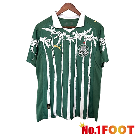 Palmeiras Soccer Jersey Special Edition Green 2025/2026