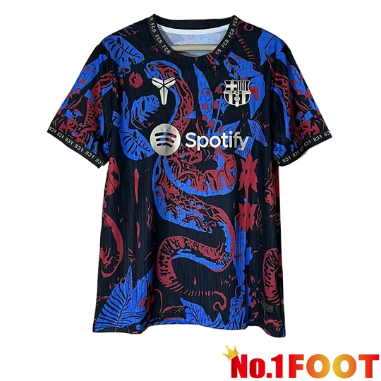 FC Barcelona Soccer Jersey Special Edition Pink/Blue 2025/2026