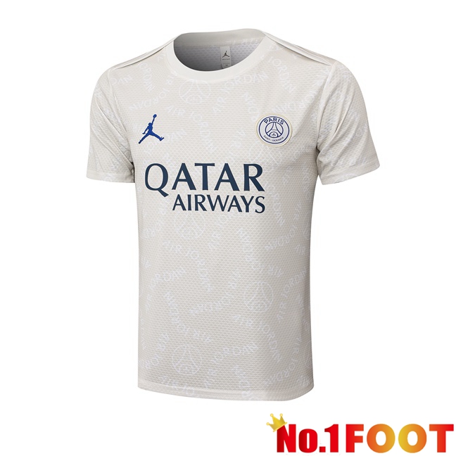 Jordan Paris PSG Training T Shirt Grey 2025/2026