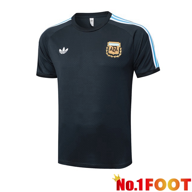 Training T Shirt Argentina Grey 2025/2026