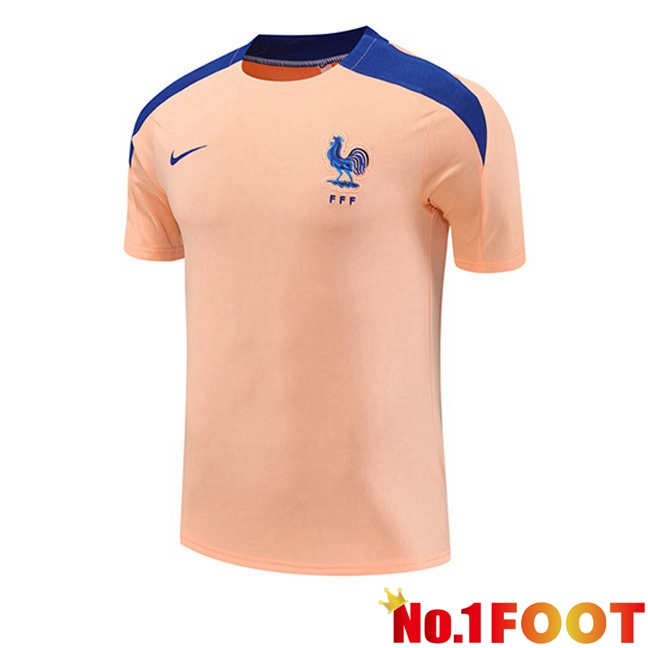 Training T Shirt France Pink 2025/2026