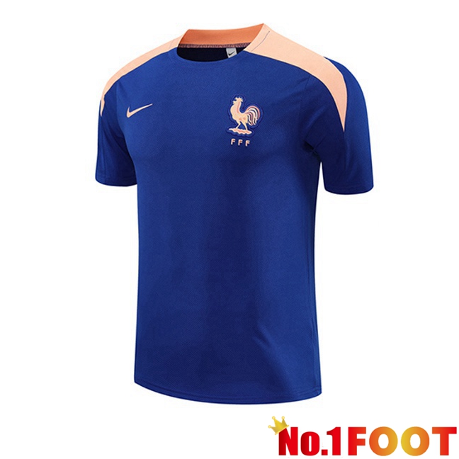 Training T Shirt France 2025/2026